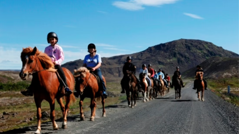 A small group enjoying a quiet ride on Icelandic horses in the rugged Icelandic countryside on a sunny summer day