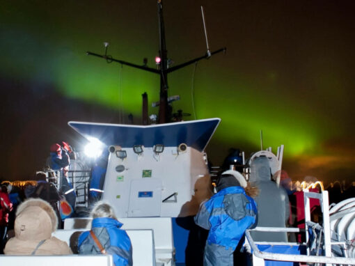NORTHERN LIGHTS CRUISE FROM REYKJAVÍK