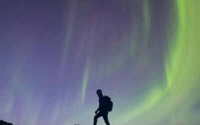 Driving Yourself to See the Northern Lights: Safe Routes, Tips, and Mistakes to Avoid (Iceland 2026 Guide)