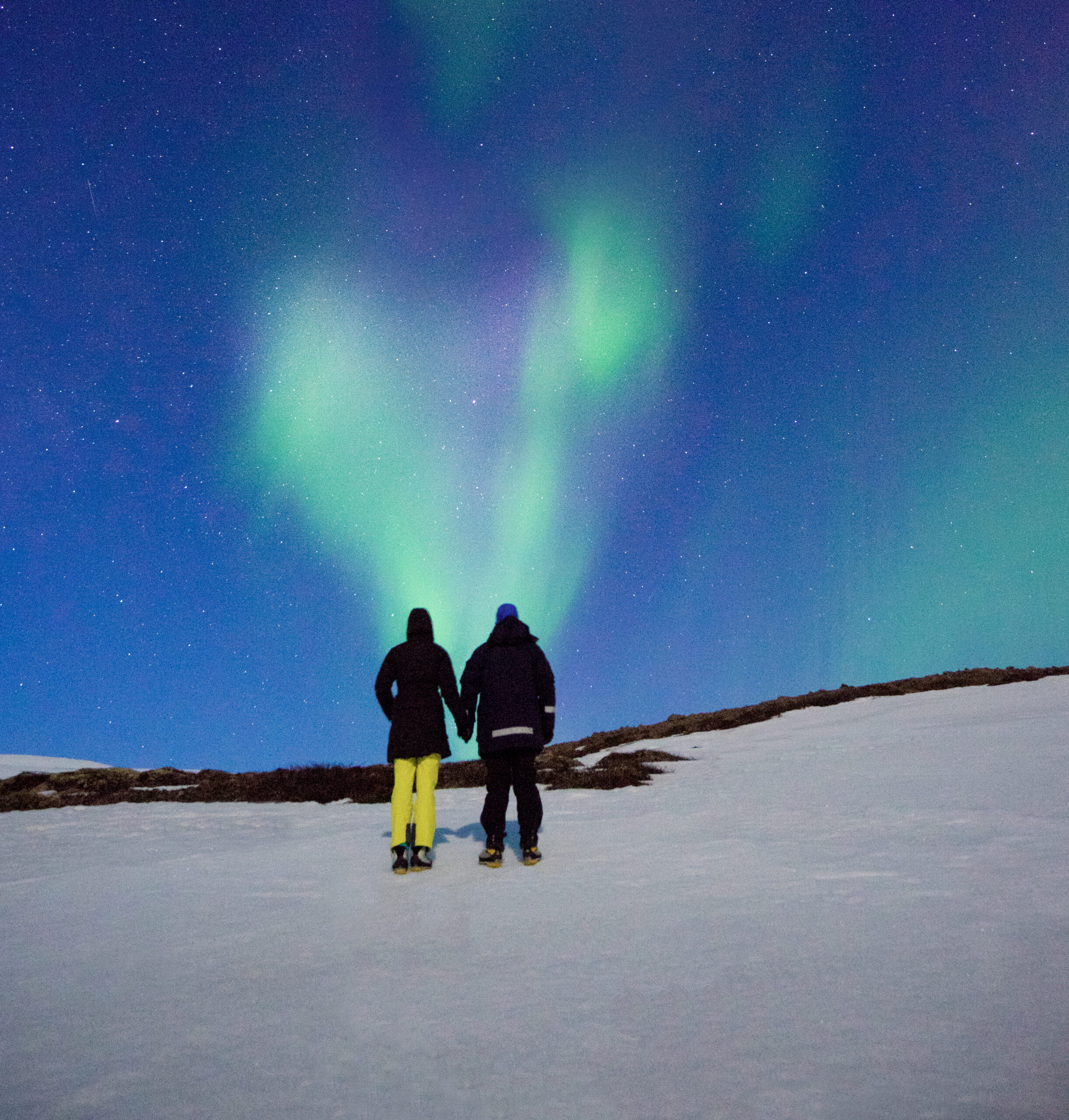 NORTHERN LIGHTS AND SOUTH SHORE Combo Tour with Reykjavik Sightseeing and AURORA REYKJAVIK