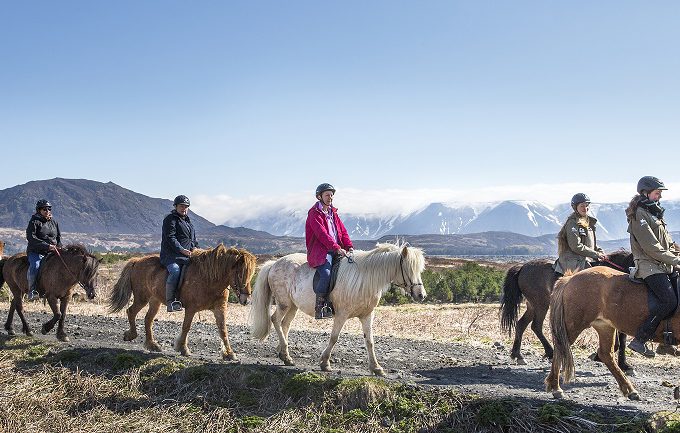 Five riders on Icelandic horses enjoying the calm ride on gravel terrain, with a view of mossy lava fields and snow capped mountains in the distance