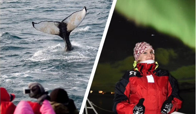 Combo tour: to the left, people on a boat watching a whale-tail diving into the ocean few meters away. To the right, young woman wearing a warm overall posing for a picture under green northern lights