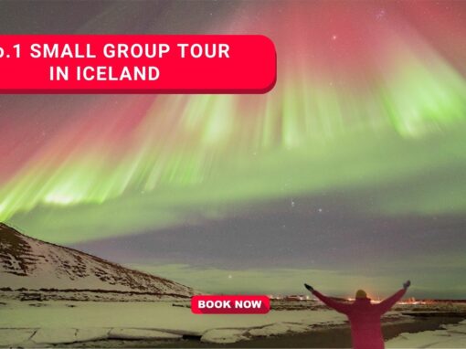 No 1 NORTHERN LIGHTS MINIBUS TOUR – FREE PHOTOS, HOT CHOCOLATE AND CINNAMON BUNS