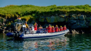 Ultimate Whale Watching Tours: Tourists watching Puffins from the RIB boat