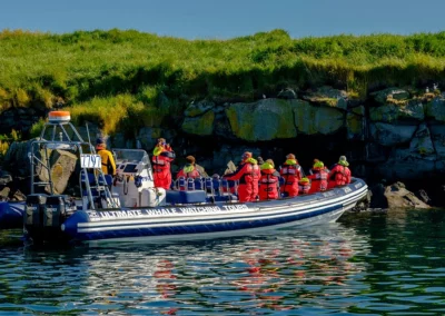 Ultimate Whale Watching Tours: Tourists watching Puffins from the RIB boat