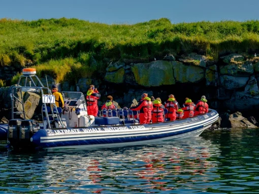 PREMIUM PUFFIN TOUR