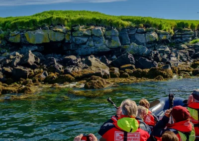 Ultimate Whale Watching Tours: Tourists taking pictures of the Puffins from the RIB boat