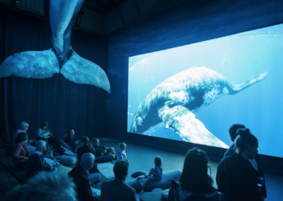 Visitors of all ages watching a whale swim on a cinema screen