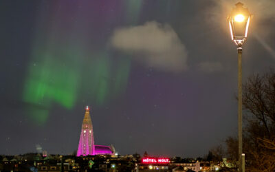 Reykjavík Museums Opening Hours During Christmas 2024