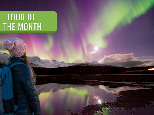 N. 1 NORTHERN LIGHTS MINIBUS TOUR