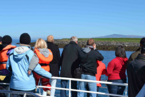 Travellers watching puffins nesting on an island