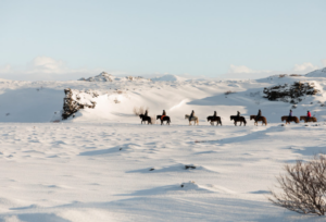 Horseback riding winter