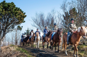 Horseback riding group