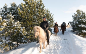 Horseback riding on the snow