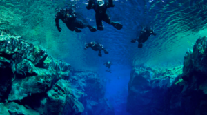 Group of snorkelers