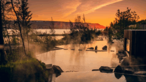 Forest Lagoon at sunset