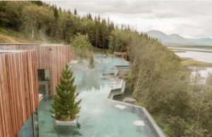 Forest Lagoon from above