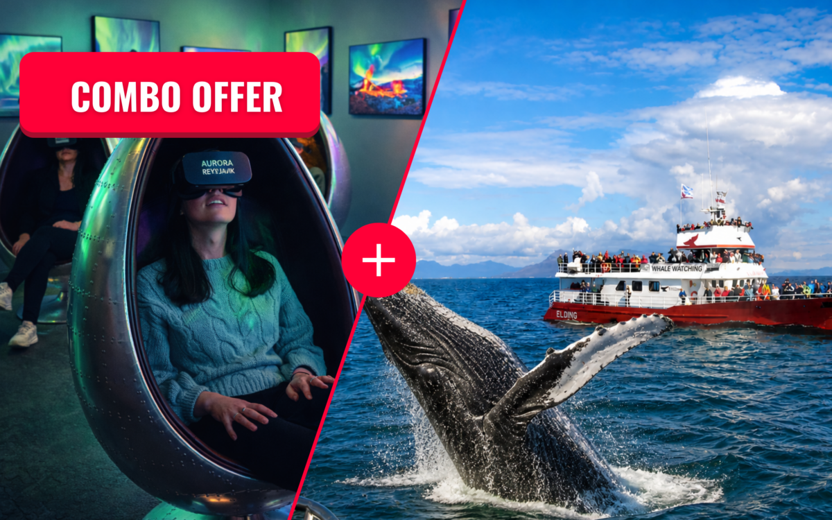 Family-friendly Reykjavik whale watching tour + Aurora Reykjavík. Perfect for cruise visitors—see whales and guaranteed Northern Lights. Budget-friendly, only here.