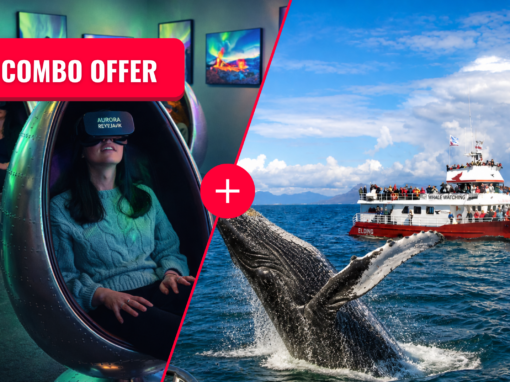 COMBO OFFER: AURORA REYKJAVÍK AND WHALE WATCHING
